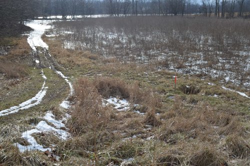 Property photo 6 - East Allen County Land Auction - 40 Acres in 2 Tracts